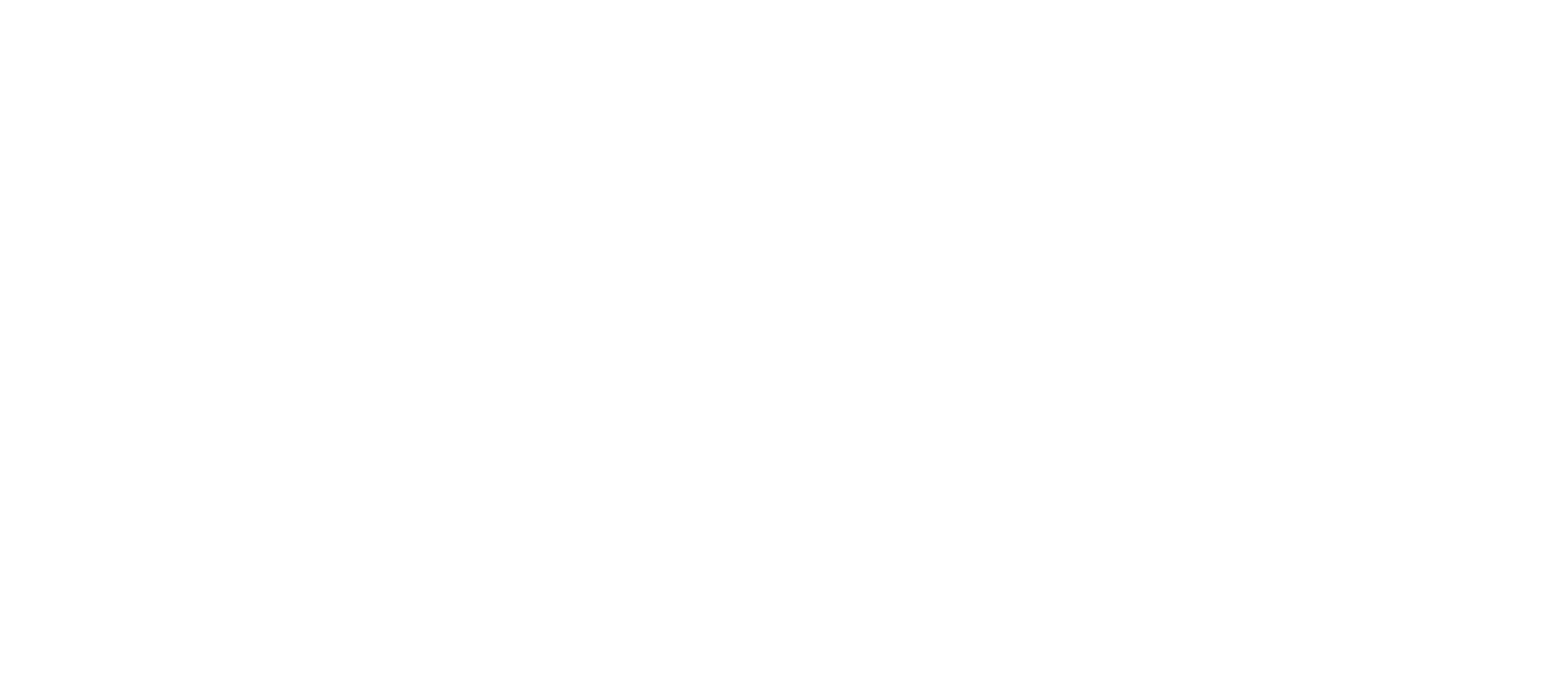 Nexa Digital School